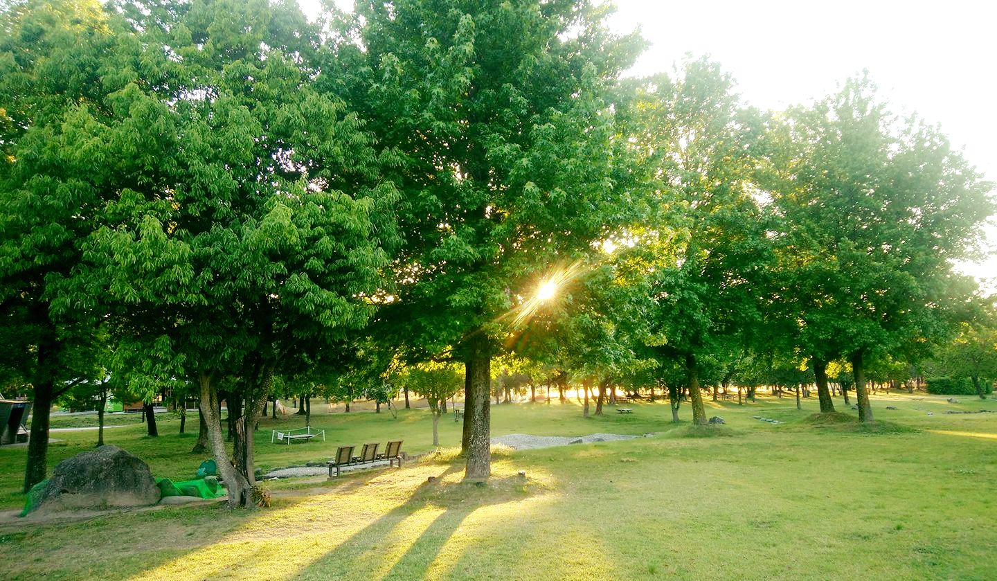 50代のからだづくり①