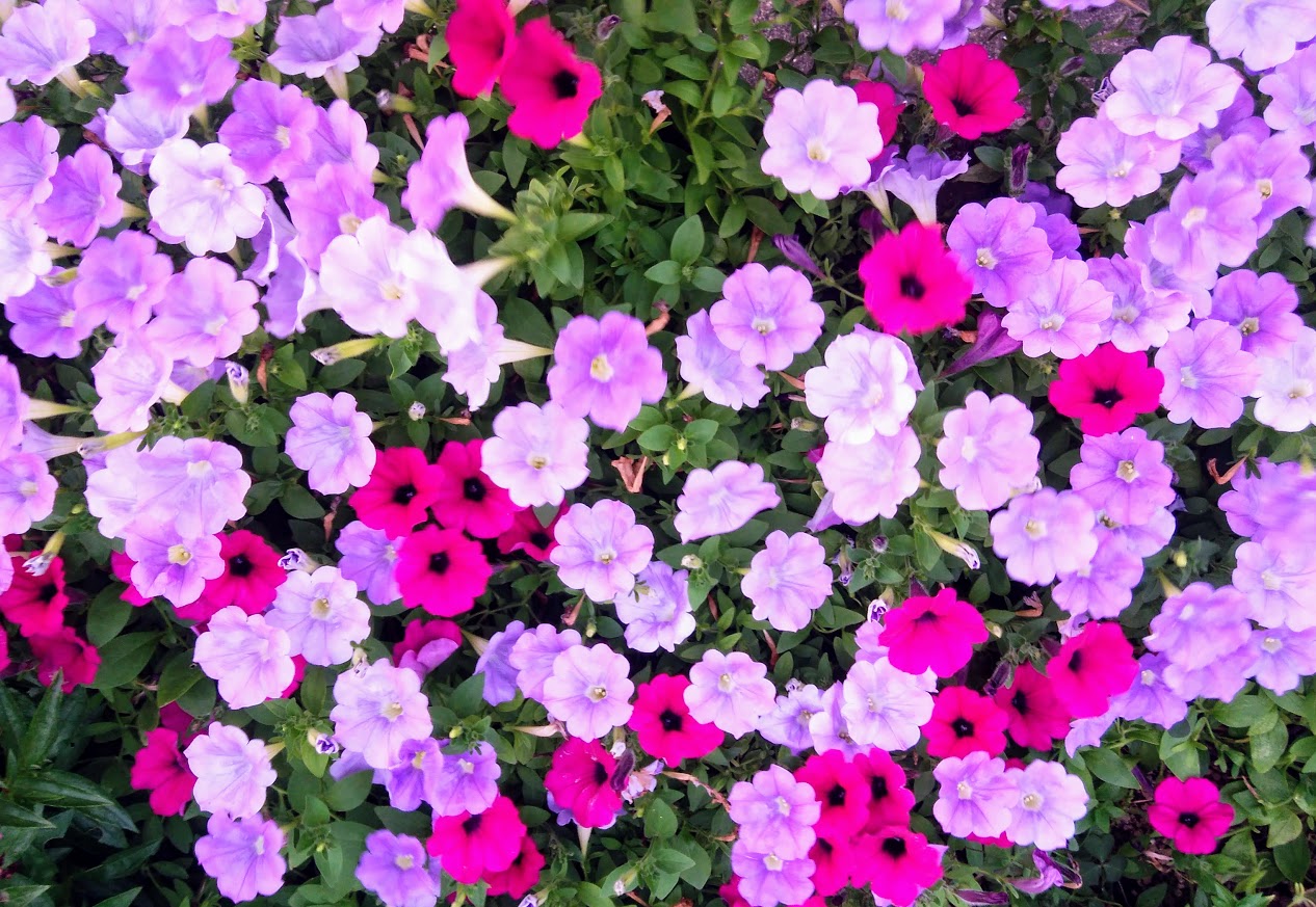 新しい人間関係を考える