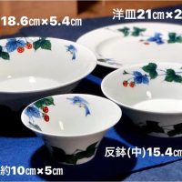 【総手描きの有田焼】洋皿と反鉢 3種 の4点セット