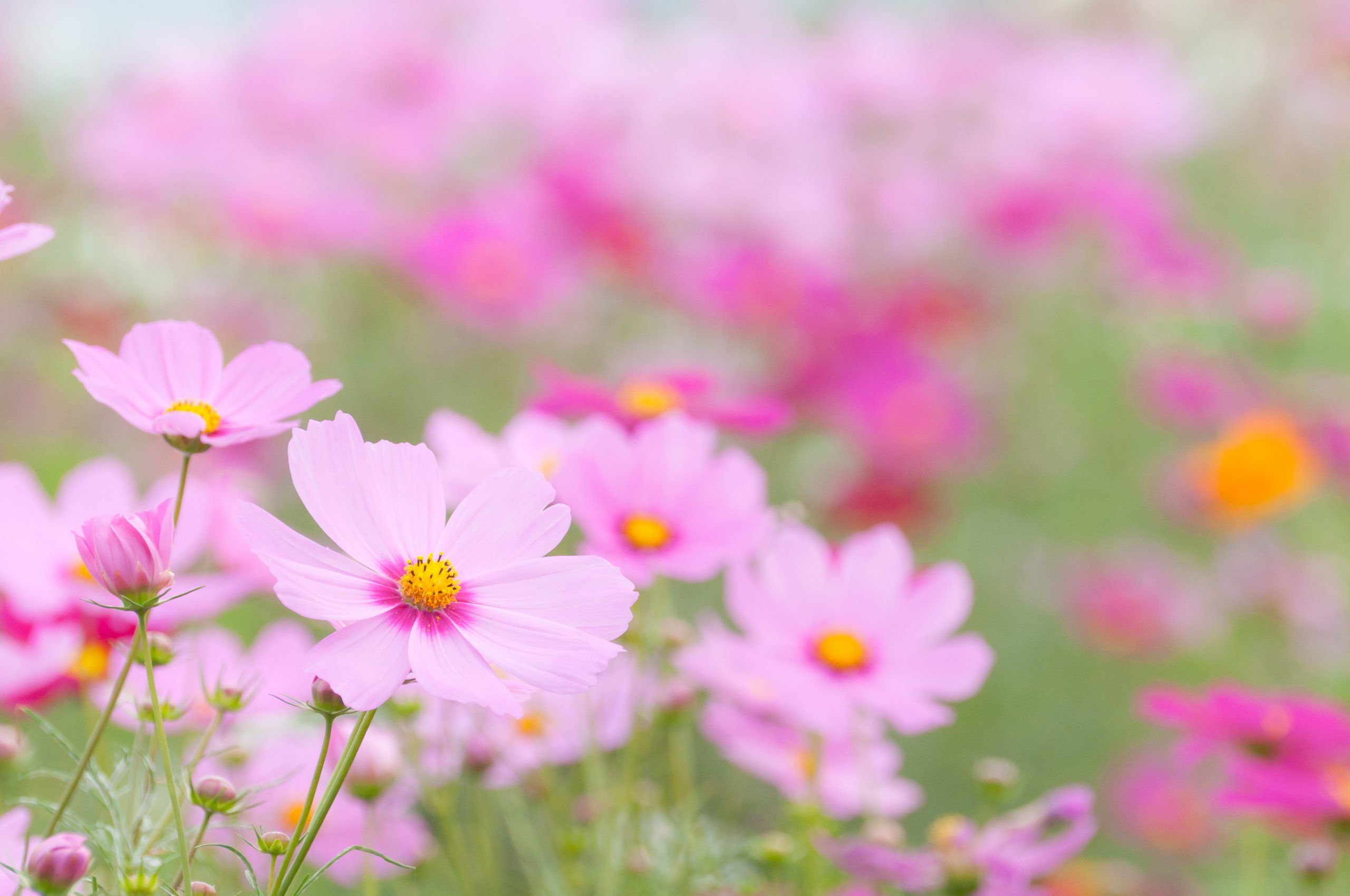 人生後半戦、あらためて生きる意味を考える