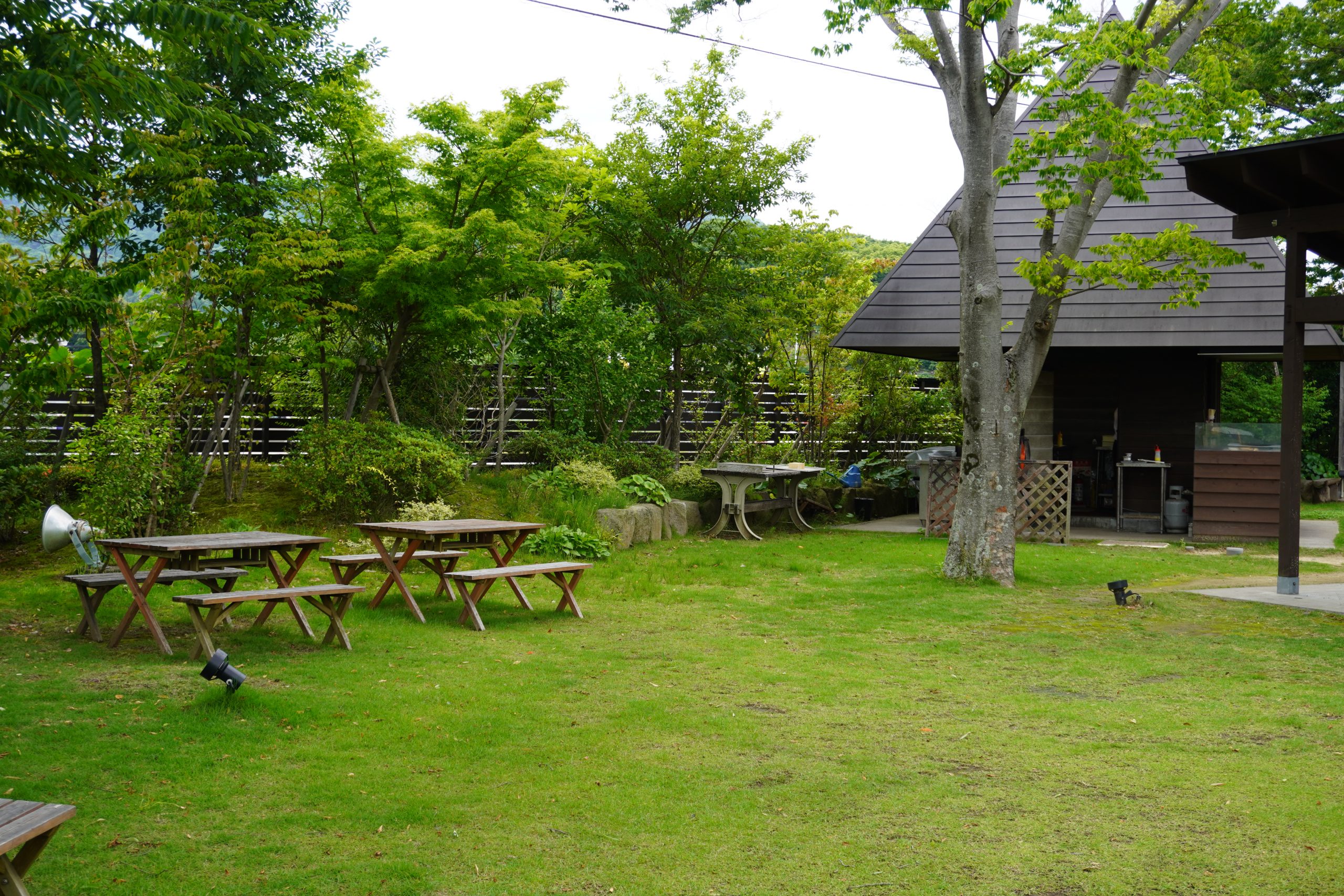 みつせ鶏本舗の「どぶ漬けから揚げと鶏飯」