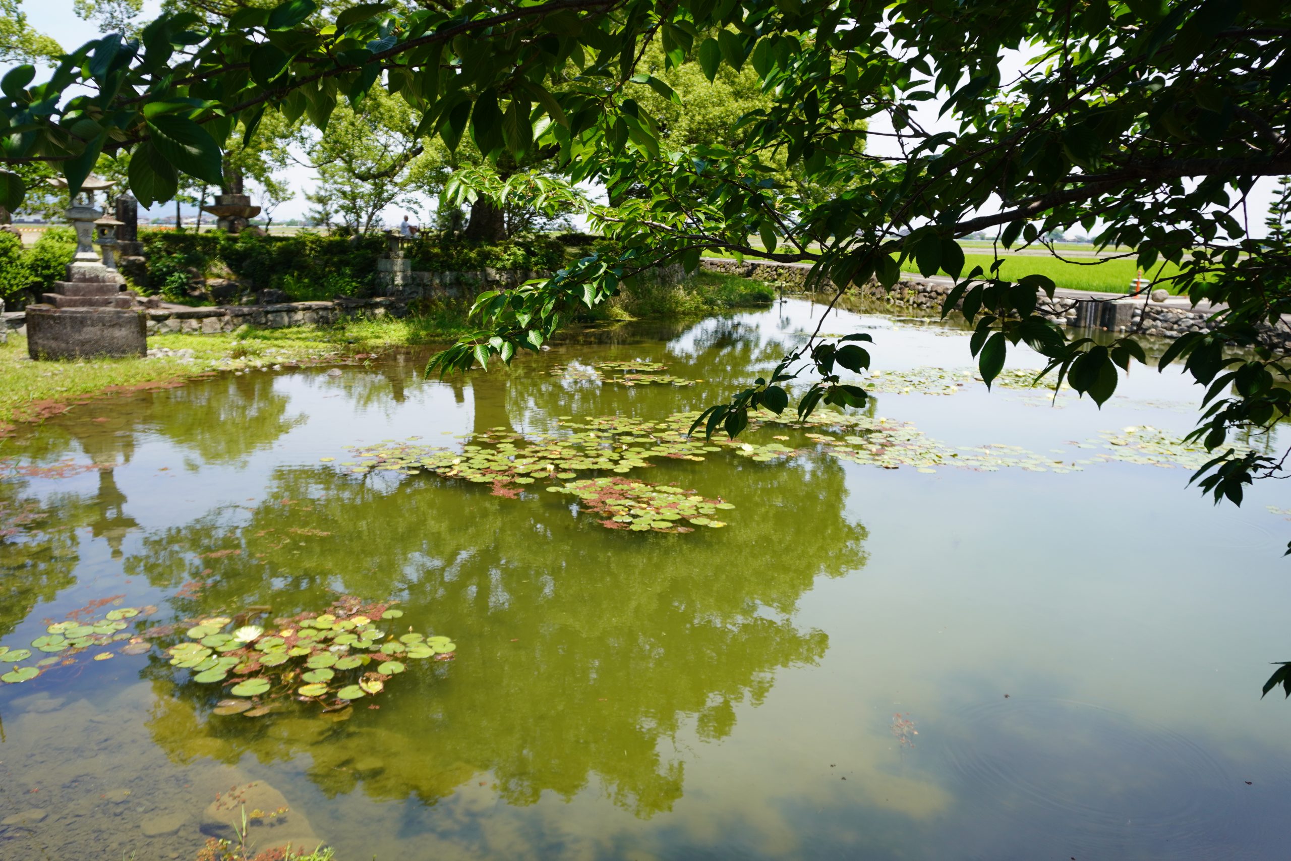 水のパワースポット白石町「縫ノ池」